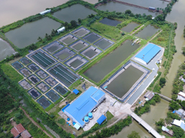 Our aquaculture R&D facility in Vietnam in pictures