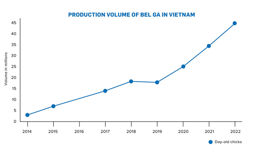 Production Volume of Belga in Vietnam