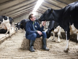 Nutritionist Ruminants