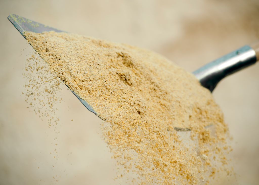 Animal Nutrition | the best start for your animals | De Heus