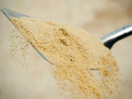 Animal Nutrition | the best start for your animals | De Heus