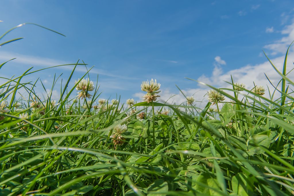 De Heus Animal Nutrition | Code of Conduct