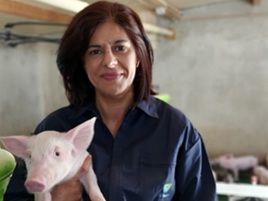Paula Gabriela Henriques - Technical Assistant of Monogastric