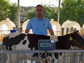 Paweł Maturski - senior cattle specialist