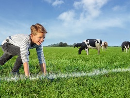 Careers | De Heus Animal Nutrition