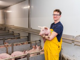 Successful approach to piglet farming at De Heus experimental farm