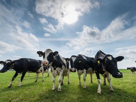 Zero measurement: the starting point for reducing our carbon footprint