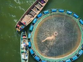 How a De Heus plant can support fish farming in Uganda and help feed the nation