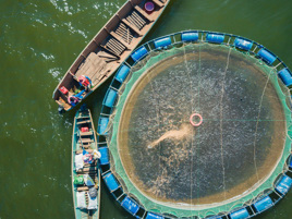 How a De Heus plant can support fish farming in Uganda and help feed the nation