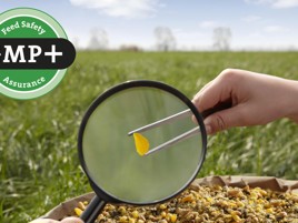 Care for quality and food safety