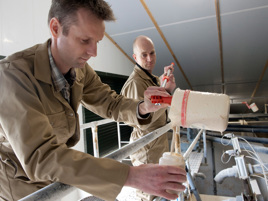 Pioneering the use of residual flows in animal feed