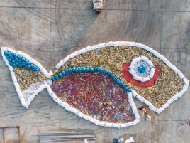 Healthy fish need clean water