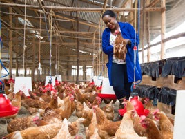 The foundation for a self-sustainable supply chain
