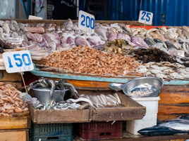 Optimising feed production in Egypt