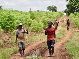 How De Heus is helping the Tree of Life to grow in Mozambique