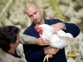 Pioneers in sustainable poultry farming