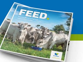 Feed