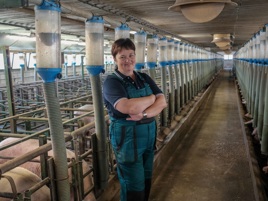 We have stable results with De Heus feeds and improved financial results