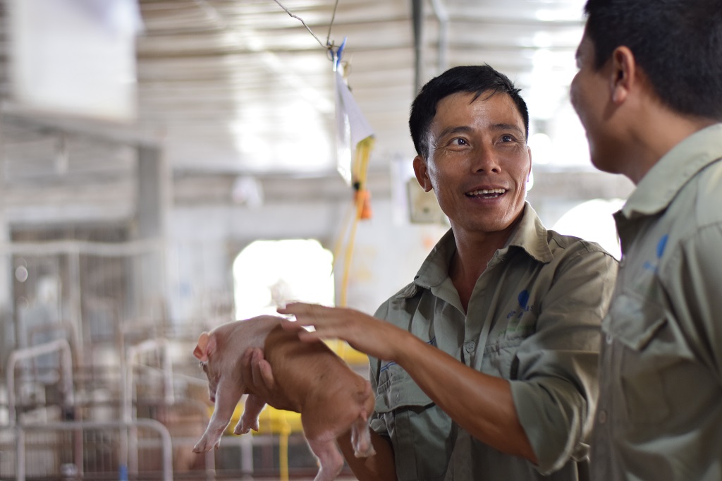 My piglets went from a 11.7 to a 14.0 weaning rate with extremely high quality