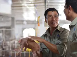 My piglets went from a 11.7 to a 14.0 weaning rate with extremely high quality