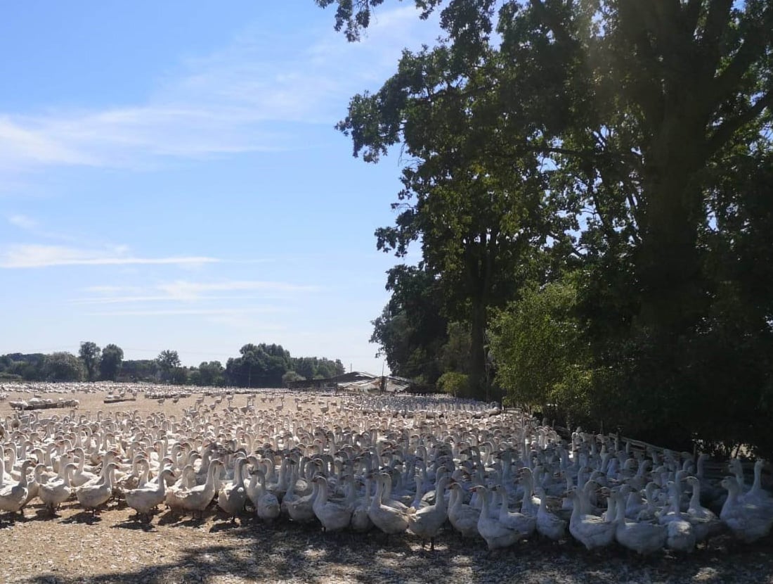 Each rearing is a completely different experience